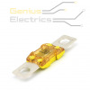 midi zekering 100A