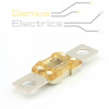 midi zekering 175A